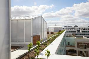 Pauline ALEZRA - Studio Janvier Architectes
